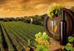 Крымских виноделов проспонсируют на 310 миллионов рублей
