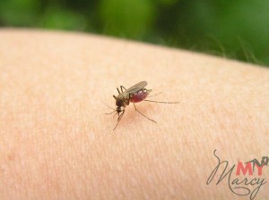 Тщательно обрабатывайте место укуса комара