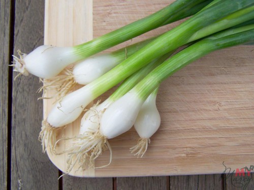 Зеленый лук – витаминный букет