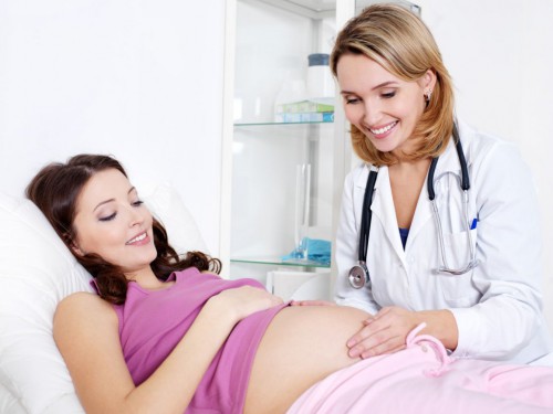 По высоте дна матки можно определить срок беременности