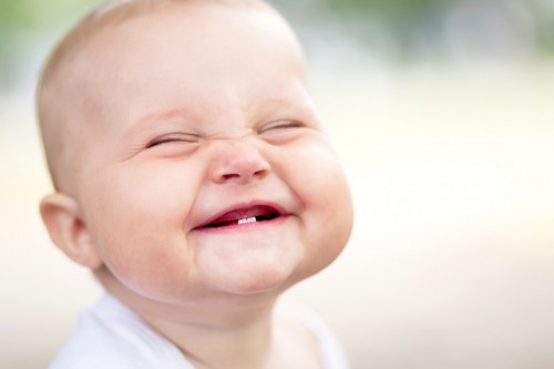 Первые зубы намекают на то, что пора менять рацион (фото: comed-online.de)