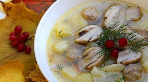 Суп можно смело делать даже из маринованных грибочков (фото: povar.ru)